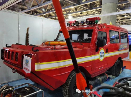高州一支隊(duì)伍代表茂名,受到省應(yīng)急廳長接見和高度贊許