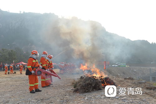 青島舉辦森林防滅火應急救援演練,一批高科技消防裝備產品首次亮相